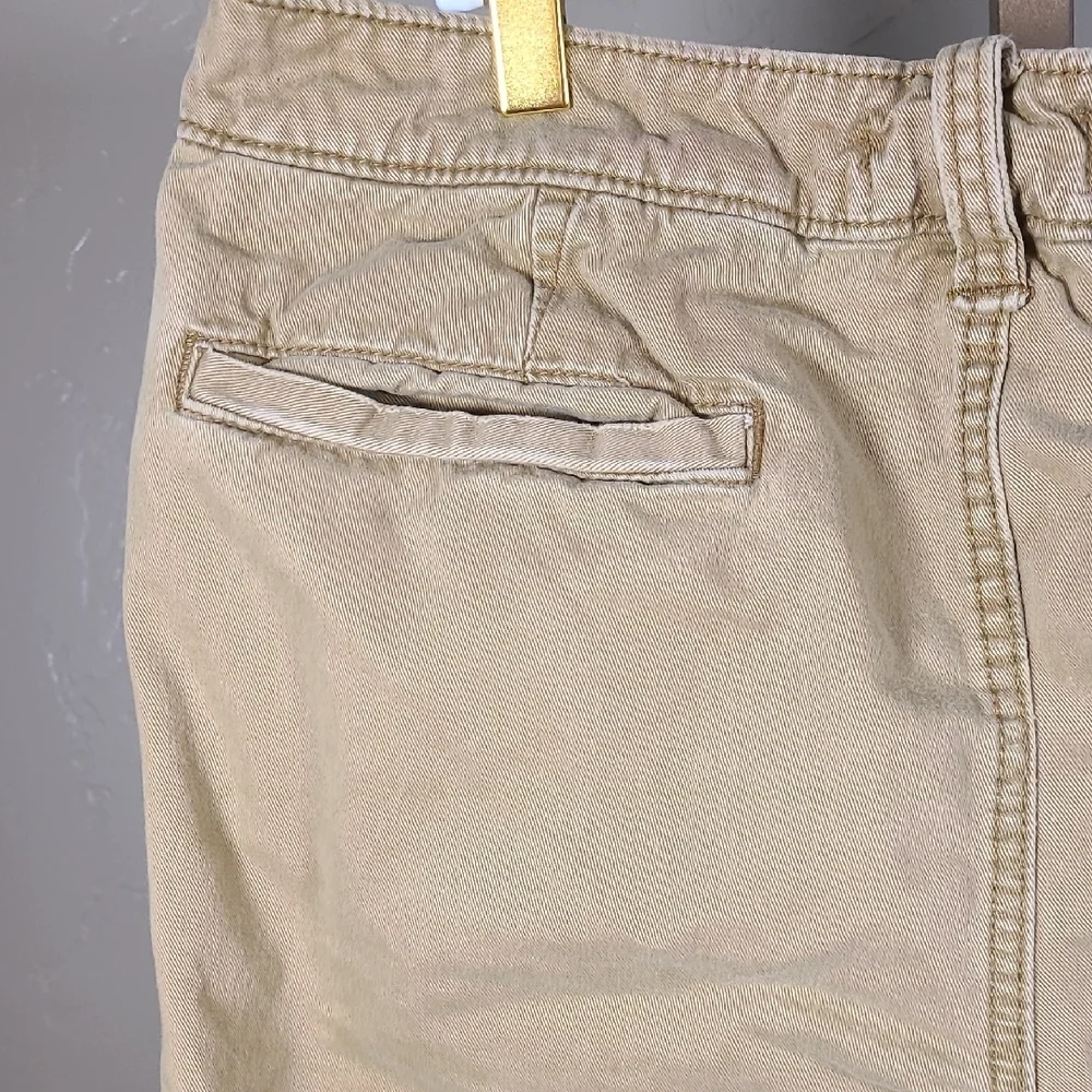 Hollister Tan Flat Front Shorts Versatile Casual Wear‎ Size 33